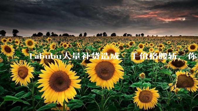 Labubu大量补货造成二手价格腰斩，你能用经济学解释这种市场金融现象么？