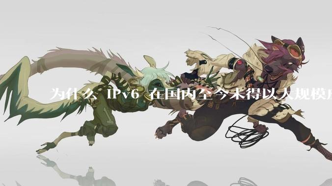 为什么 IPv6 在国内至今未得以大规模应用?
