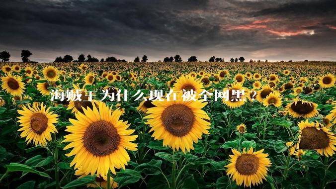 海贼王为什么现在被全网黑?