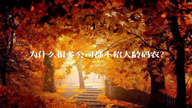 为什么很多公司都不招大龄码农？